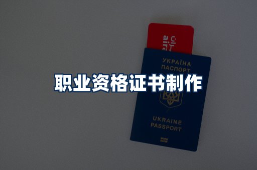 职业资格展示